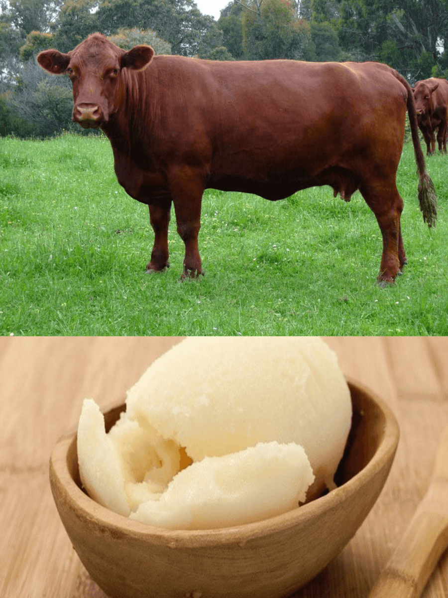 Beef Tallow