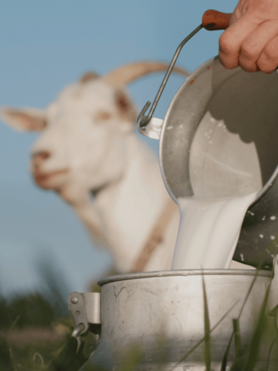 Goats' Milk