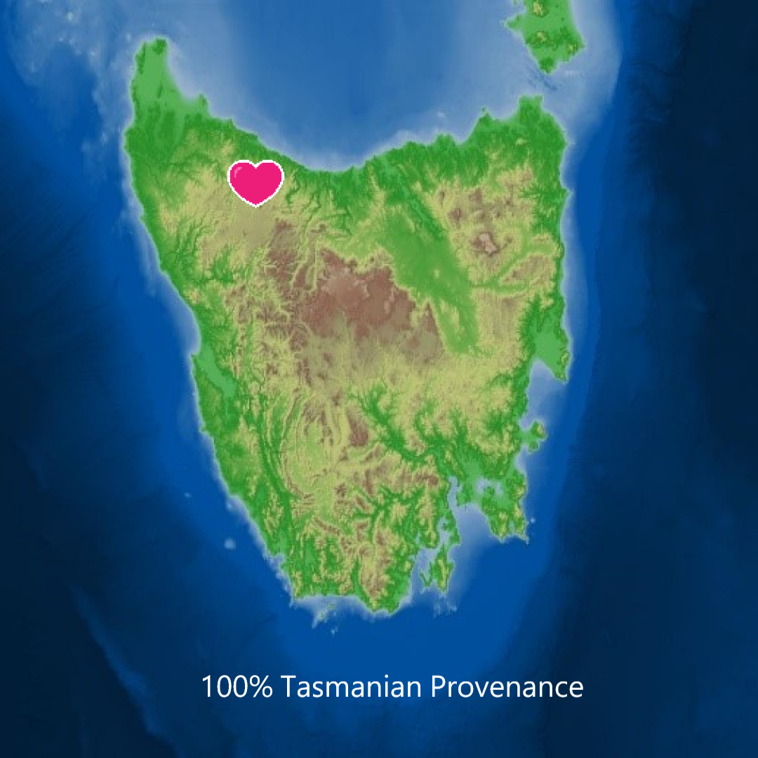 A satellite image of Tasmania