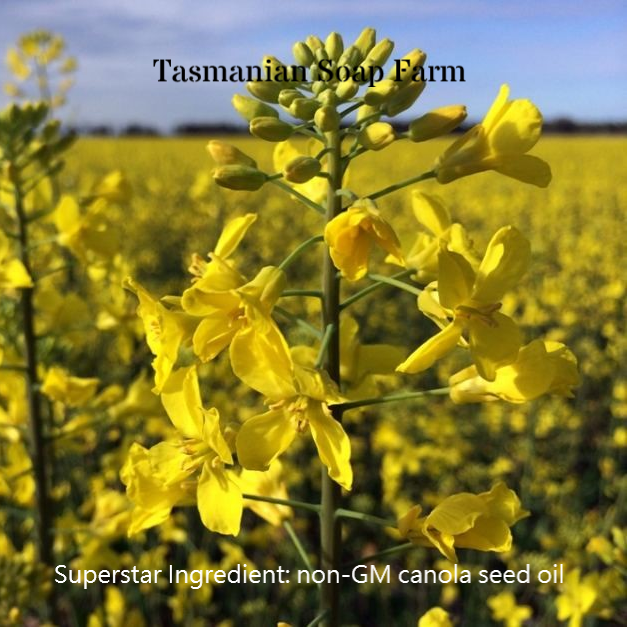 8. Canola Conundrum