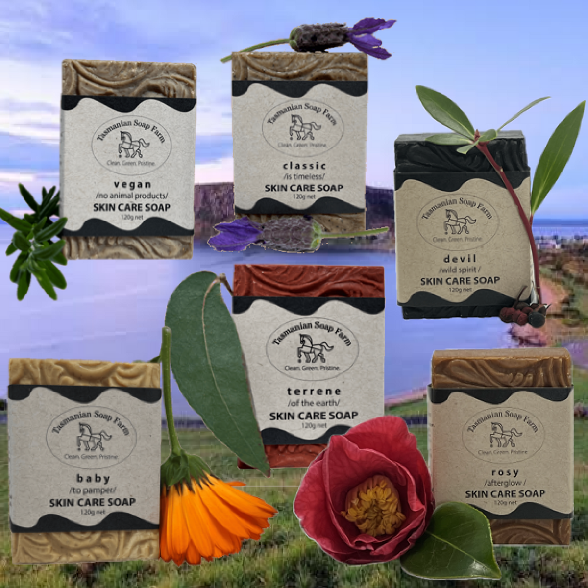 skin care soap-ecoband