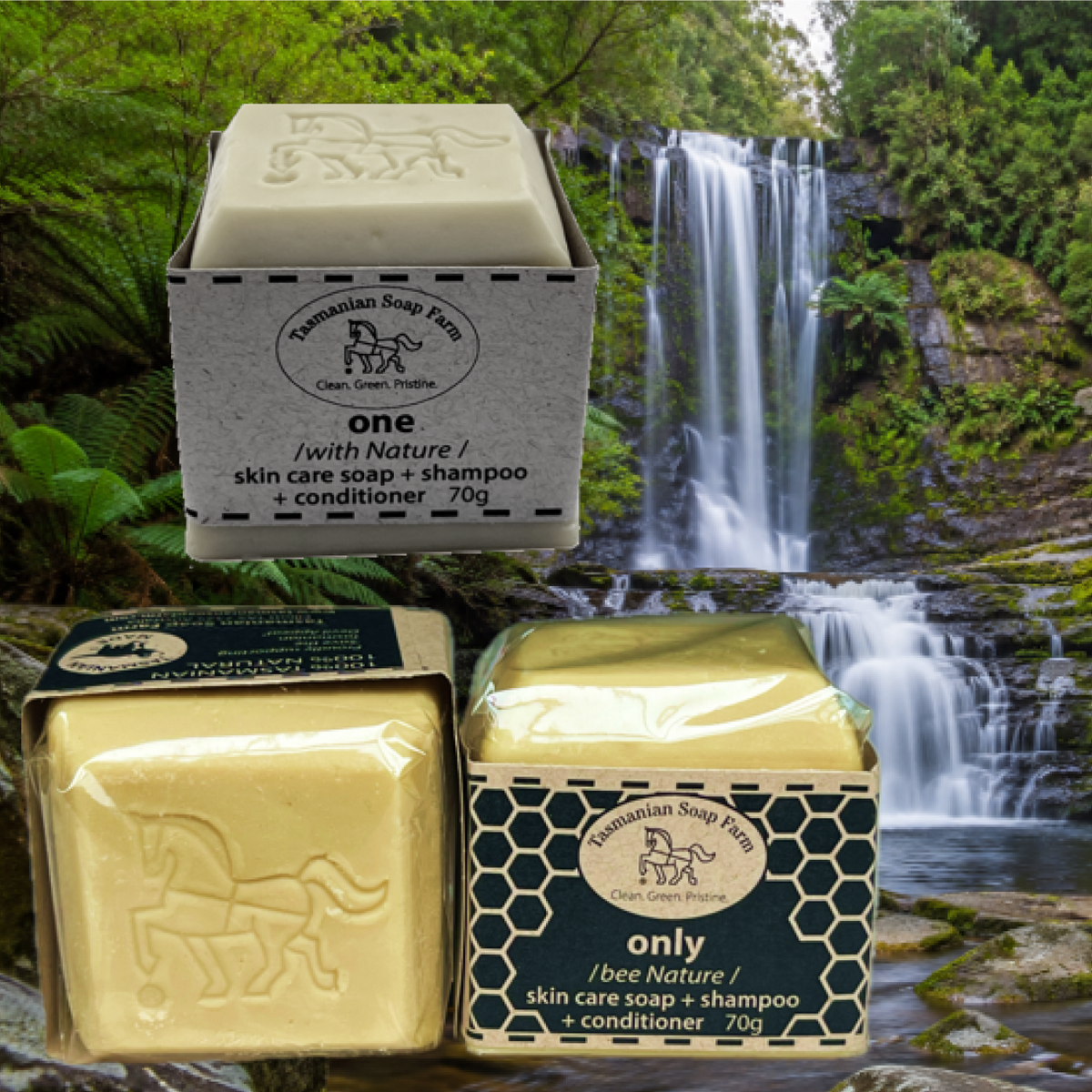 shampoo soap