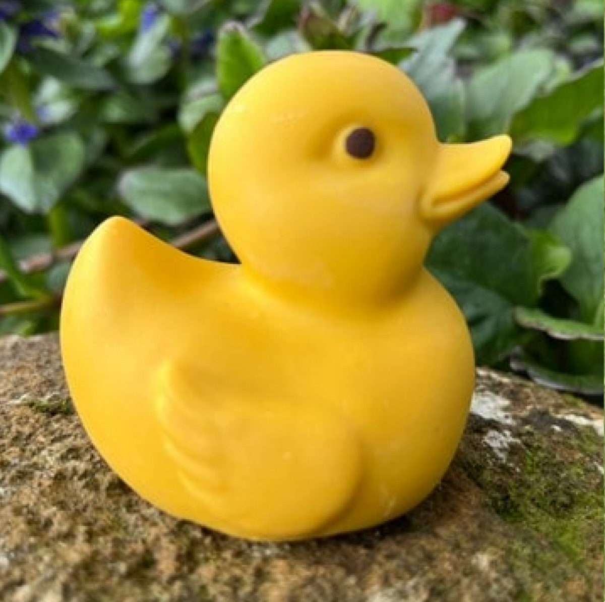 skin care soap-Tassie ducky