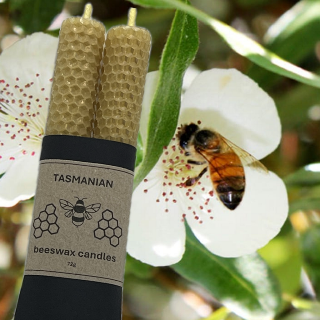 Two Tasmanian beeswax candles in a black and kraft paper package, shown in front of a white leatherwood flower with a honeybee on it.