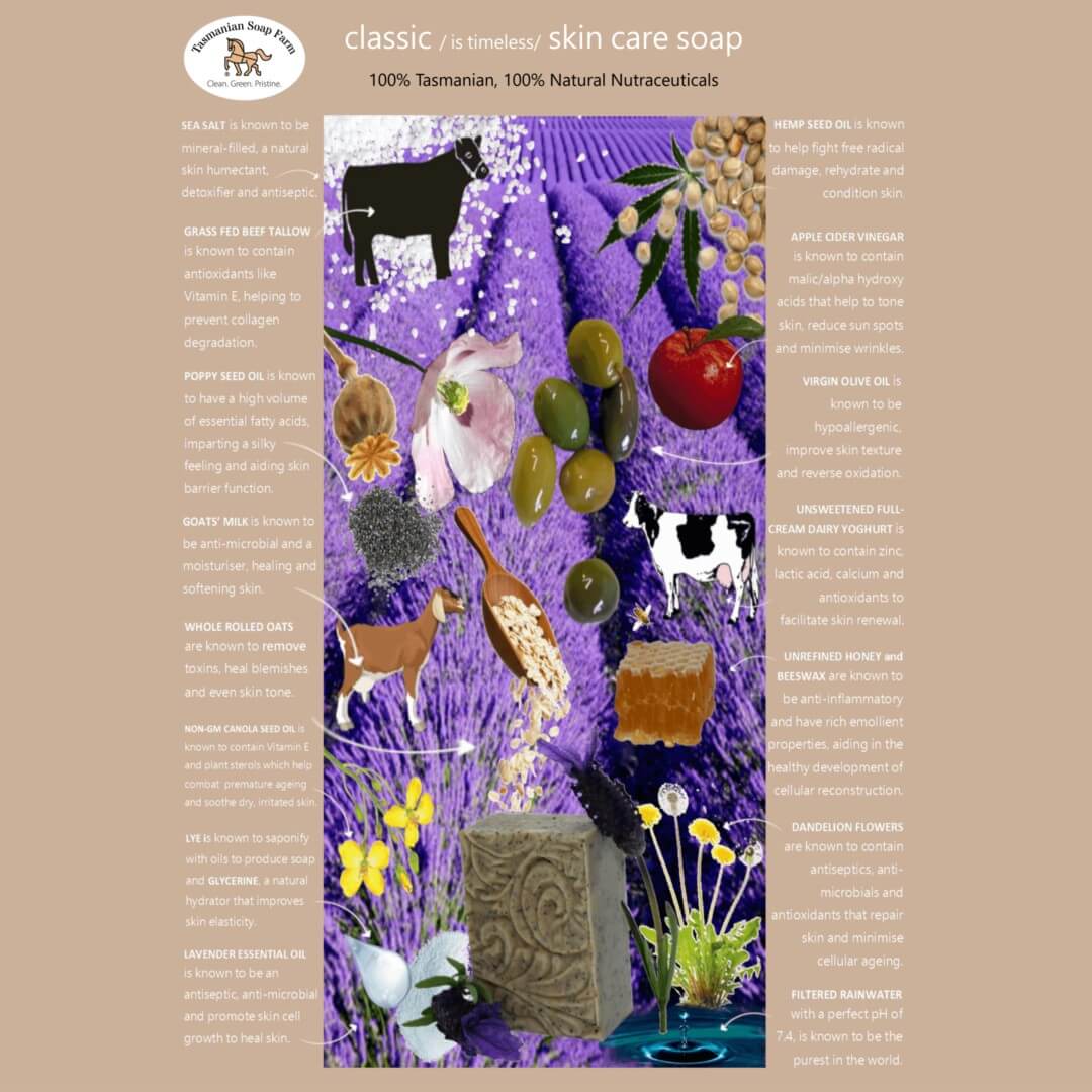 A product information card for 'classic  skin care soap' by Tasmanian Soap Farm, featuring a central purple field of lavender with ingredients like olive oil, hemp seed oil, honey, and herbs, surrounded by ingredient text on a buff background.