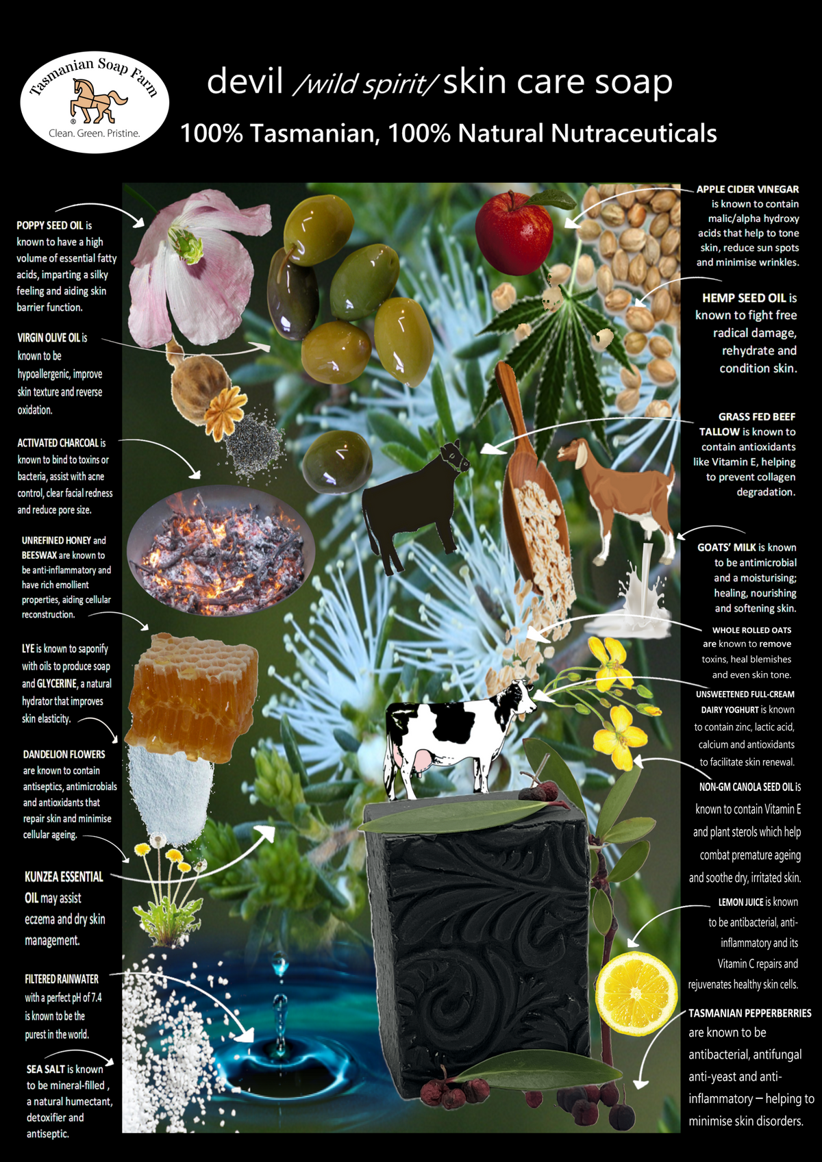 An educational infographic poster for 'devil / wild spirit / skin care soap' by Tasmanian Soap Farm. The poster features a dark, mystical background with illustrations of ingredients like a cow for unsweetened yoghurt, a black soap bar, a lemon, and various herbs and flowers, accompanied by labels detailing the benefits of each component.