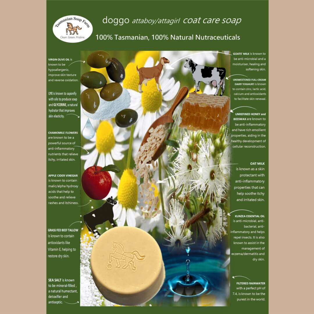 A vertical product information poster for 'doggo attaboy/attagirl coat care soap' by Tasmanian Soap Farm, featuring a dark green background, white text, and a collage of natural ingredients including olive oil, chamomile, goat milk, honey, and herbs.