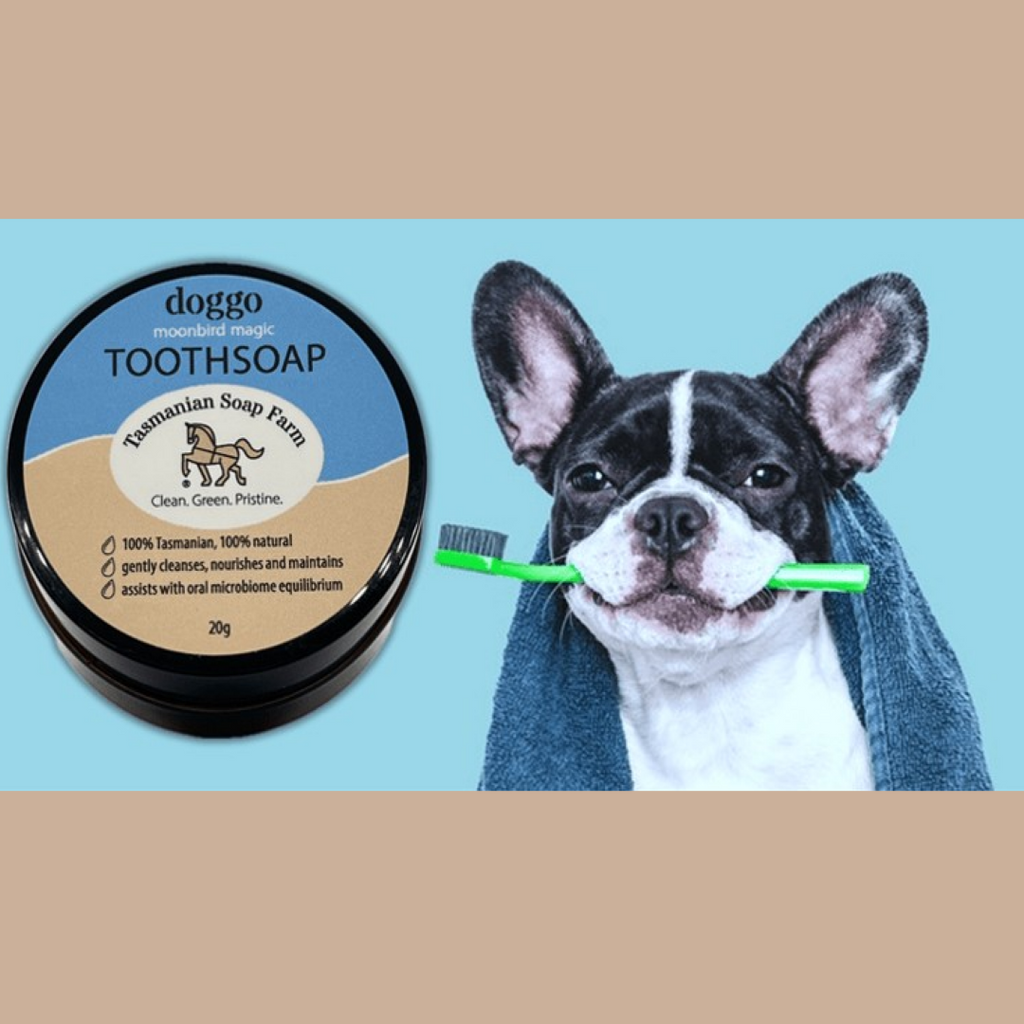 A round pot of doggo toothsoap is shown next to a black and white French Bulldog holding a green toothbrush, set against a light blue background with beige borders at the top and bottom.