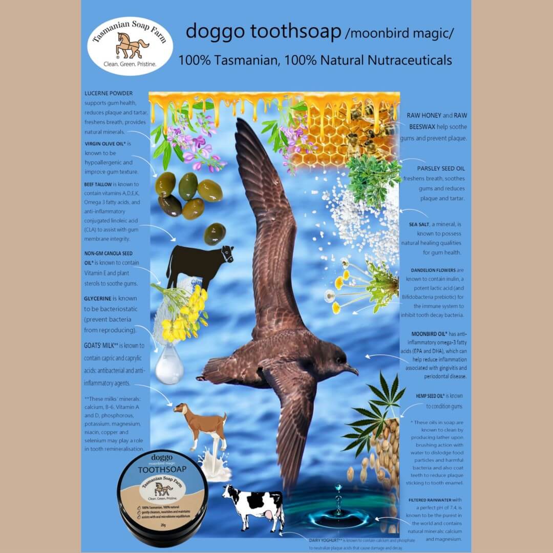 A vertical product information card for doggo toothsoap / moonbird magic by Tasmanian Soap Farm. The card features a large central illustration of a brown muttonbird flying over a blue water scene with honeycomb, flowers, herbs, cows, and a goat, alongside ingredient callouts and product text.