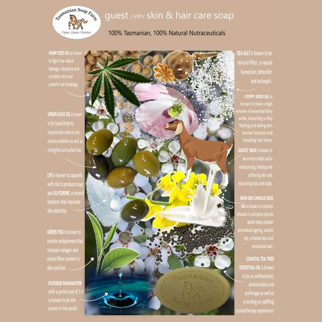 A detailed product information graphic for Tasmanian Soap Farm guest soap, showing a central collage of natural ingredients (sea salt, hemp oil, olive oil,  poppy oil, and botanicals), surrounded by informational text blocks detailing the benefits of each ingredient on a buff background.
