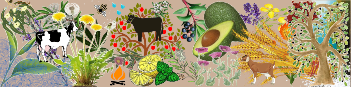 A detailed botanical and animal illustration featuring a black-and-white cow, a brown cow, an avocado, a goat, a tree, oats, flowers, leaves, and other natural Tasmanian elements arranged across a beige background.