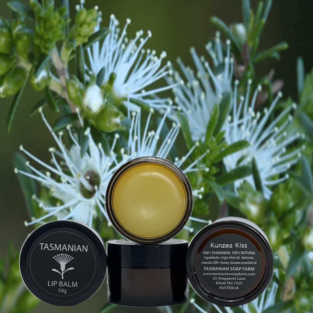 Three containers of Tasmanian Lip Balm are arranged in front of white kunzea flowers and green leaves. The centre container is open, showing the yellow balm, while the left and right containers show the lids with branding and product details.