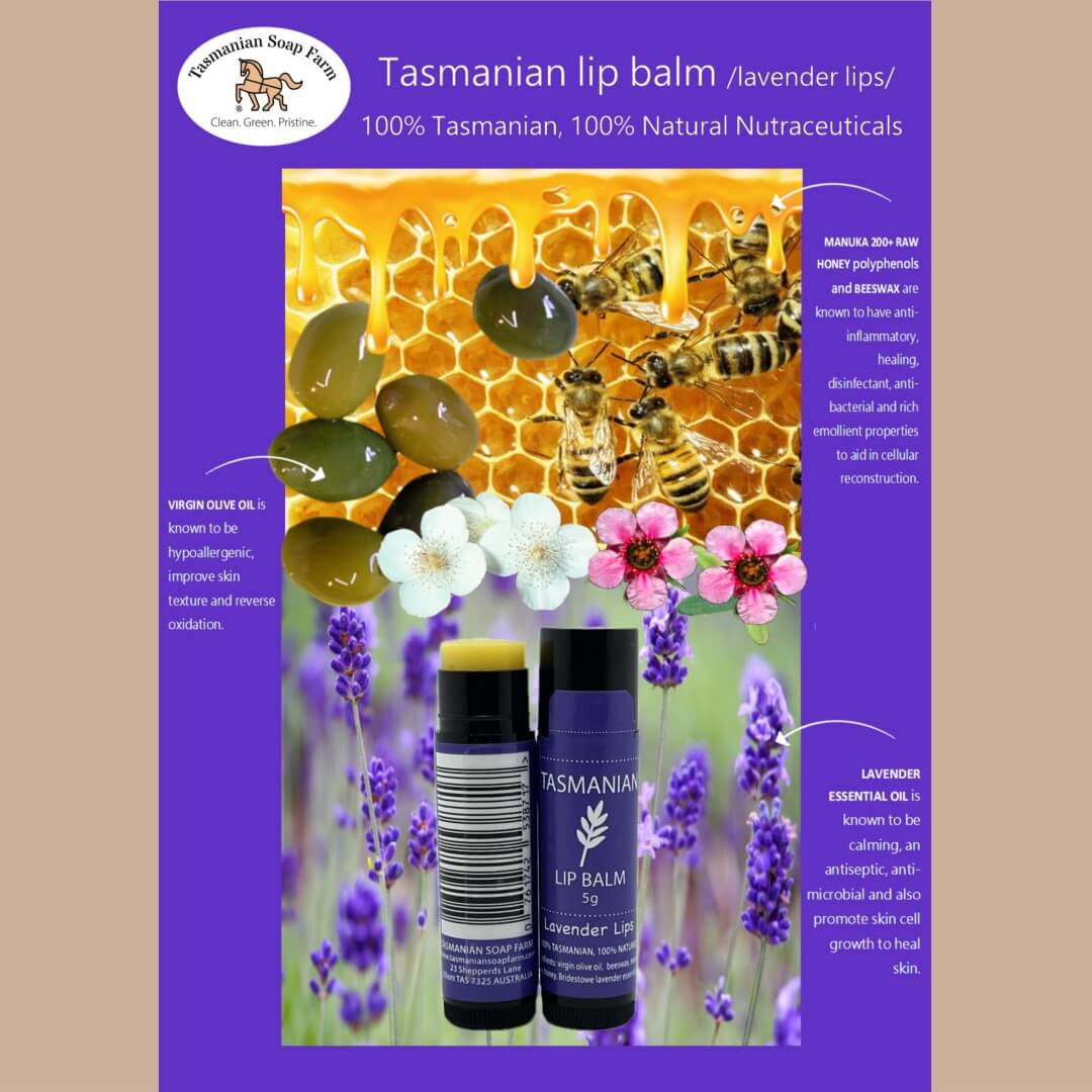 Tasmanian lip balm / lavender lips/,  by Tasmanian Soap Farm, product packaging graphic with a purple border, a central photo of bees on honeycomb and lavender flowers, and two lip balm tubes labelled TASMANIAN Lip Balm, Lavender Lips.