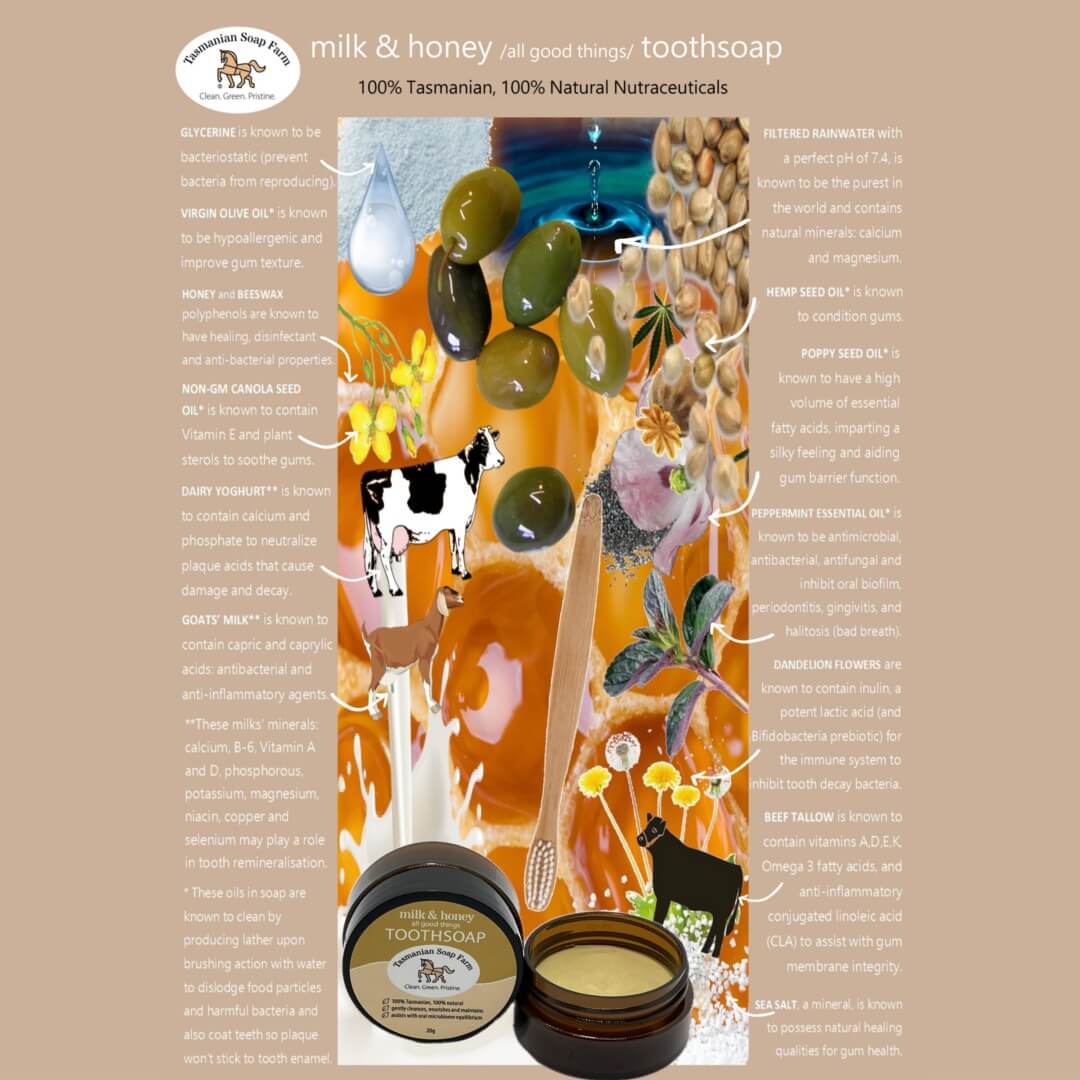 A product infographic for 'milk & honey' toothpaste by Tasmanian Soap Farm. The layout features a central illustration of a toothpaste jar with dripping milk and honey, surrounded by ingredient callouts (olive oil, hemp seed oil, poppy seed oil, honey and beeswax, goats' milk, sea salt, and herbs) on a buff background with white text.
