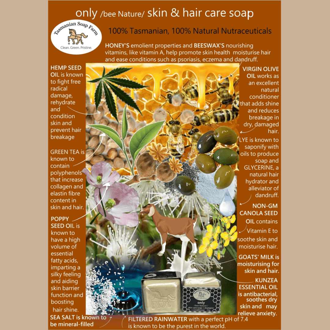 A botanical ingredient infographic for a 'only' hair care soap, by Tasmanian Soap Farm, featuring illustrations of honeycombs, bees, green tea leaves, poppy seeds, and various natural ingredients on a brown background with text detailing the ingredients and benefits.