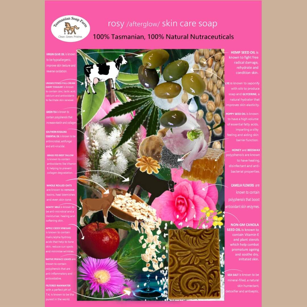 A vertical product information card for Rosy / Afterglow skin care soap by Tasmanian Soap Farm. The card features a bright pink border with product details on the left and right, and a central collage of natural ingredients including hemp seed oil, poppy seed oil, ahoney and beeswax, green tea, and botanical elements.