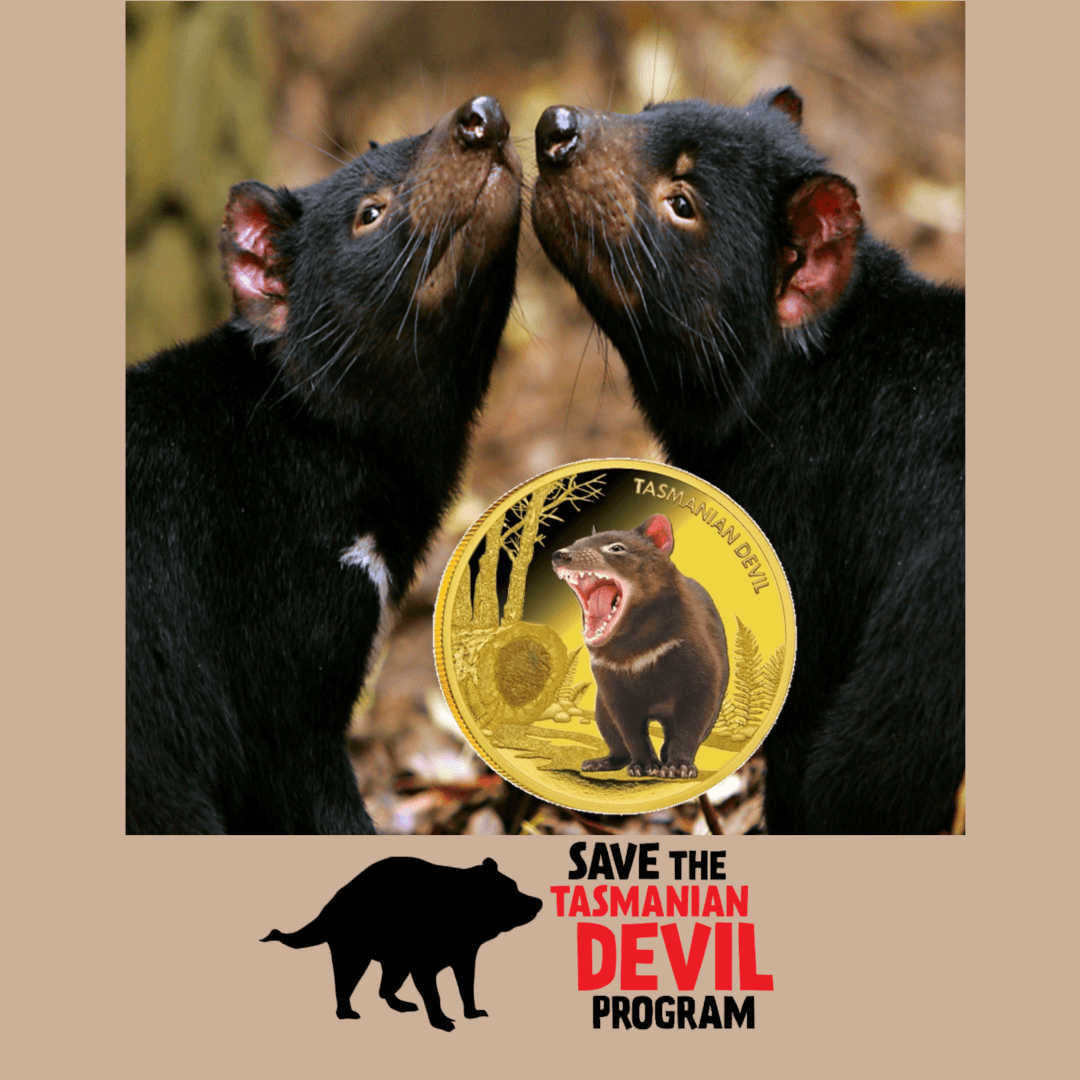 A Tasmanian gold coin is shown in front of a photo of two Tasmanian Devils, with the text 'SAVE THE TASMANIAN DEVIL PROGRAM' and a black devil silhouette at the bottom. The image has a beige border.