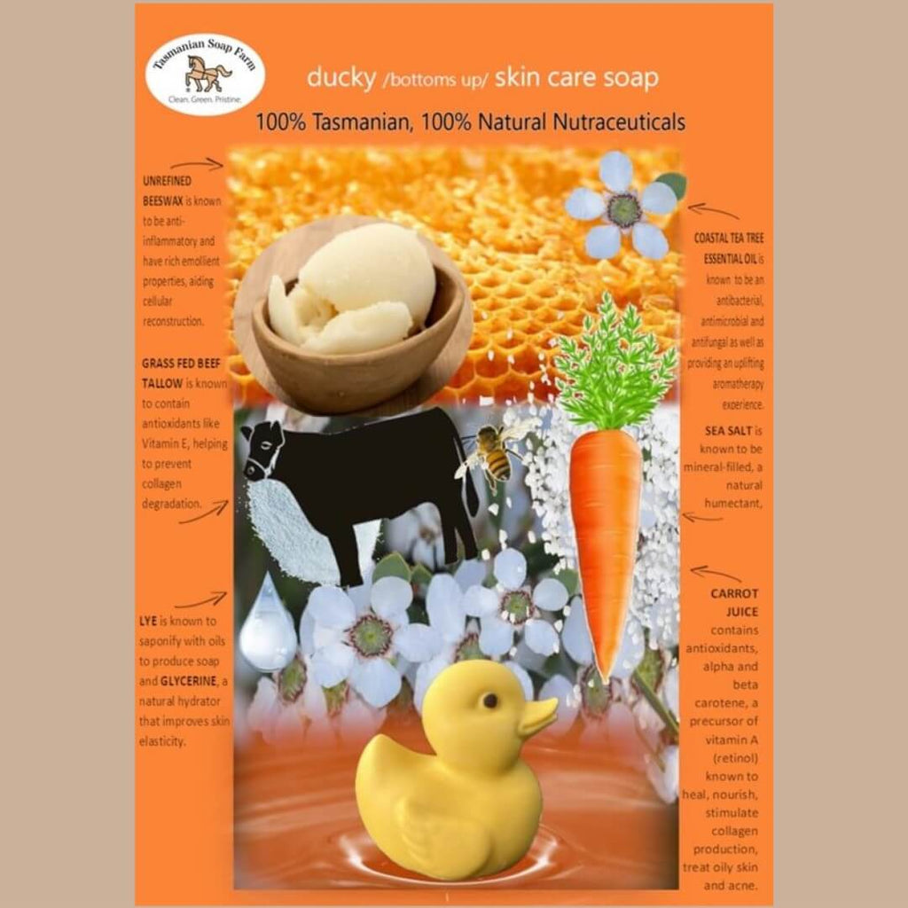An informational product graphic for 'ducky / bottoms up/ skin care' showing a yellow soap duck, beeswax, a bowl of tallow, a carrot, and botanical illustrations on a buff and orange background with text describing ingredients.