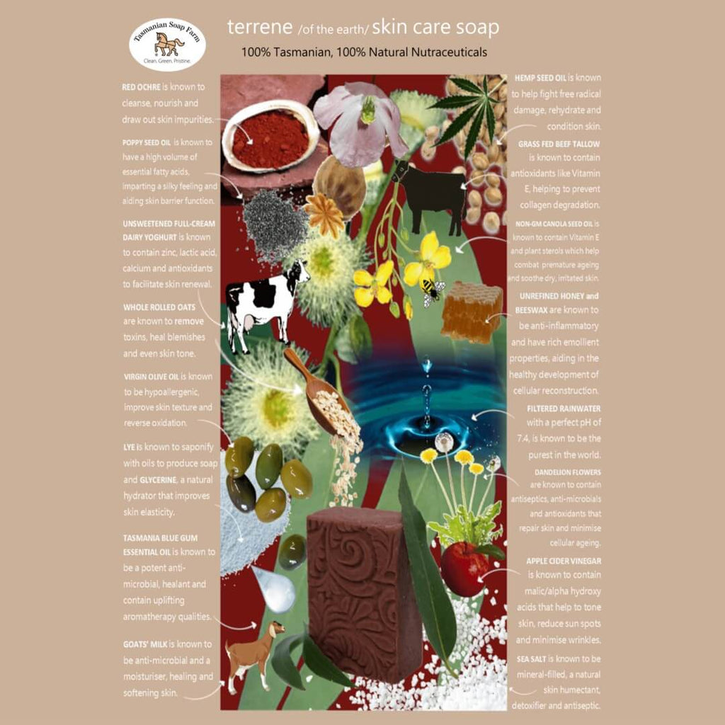 A product information card for 'terrene'  skin care soap, by Tasmanian Soap Farm, featuring a central colourful illustration of natural ingredients (red ochre, olive oil, herbs, honey, and a cow) and descriptive text on a buff background.