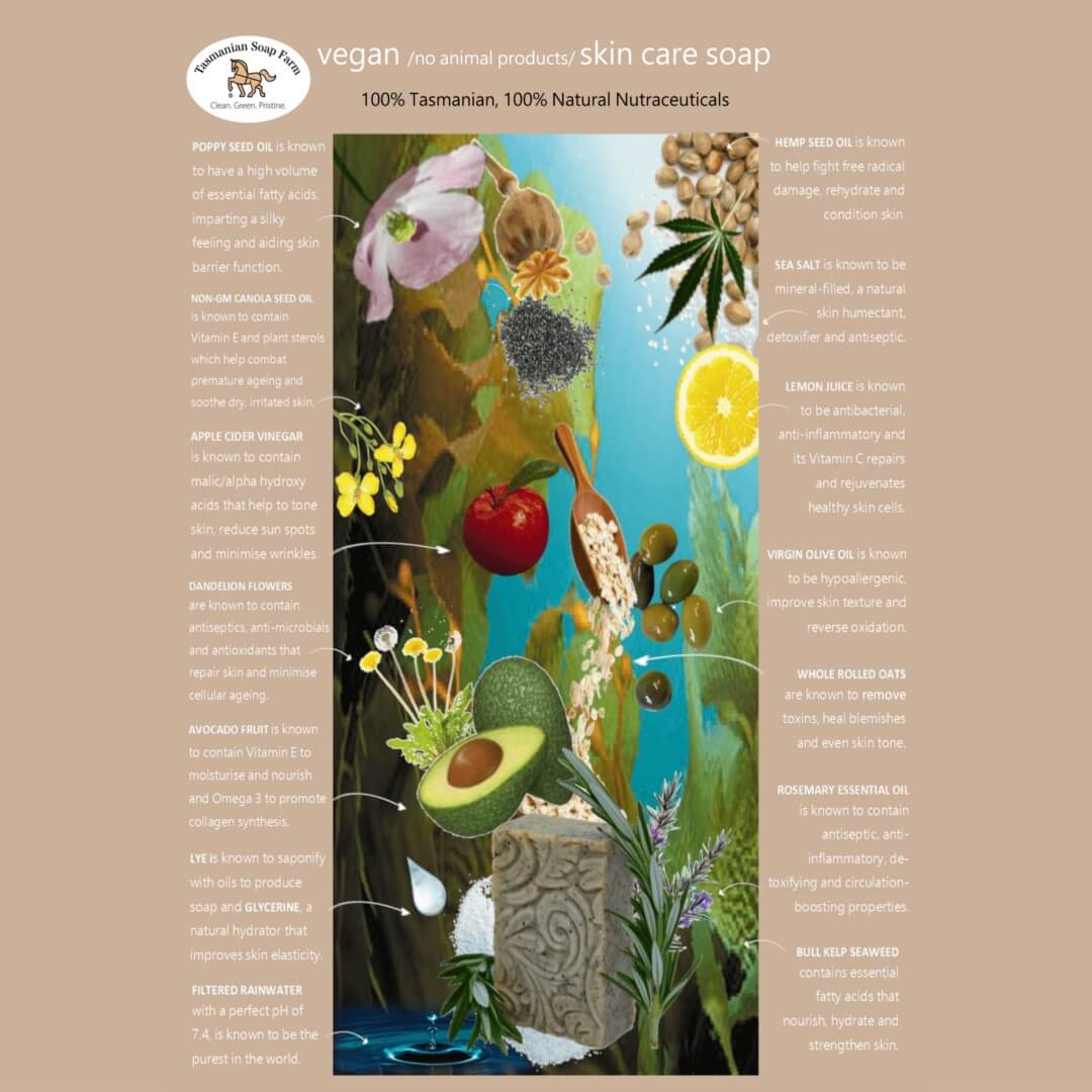 An educational infographic poster titled 'vegan / no animal products / Skin care soap' by Tasmanian Soap Farm, featuring a colourful cross-section illustration of a soap bar surrounded by ingredients like avocado, lemon, and herbs, with text labels on a buff background.