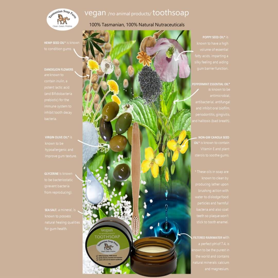 A product infographic for 'Vegan Toothsoap' by Tasmanian Soap Farm. The image features a central jar of the tooth soap with a wooden toothbrush surrounded by a vibrant collage of natural ingredients (canola flowers, green olives, sea salt, poppy seed oil, peppermint) with detailed text callouts on a buff background.
