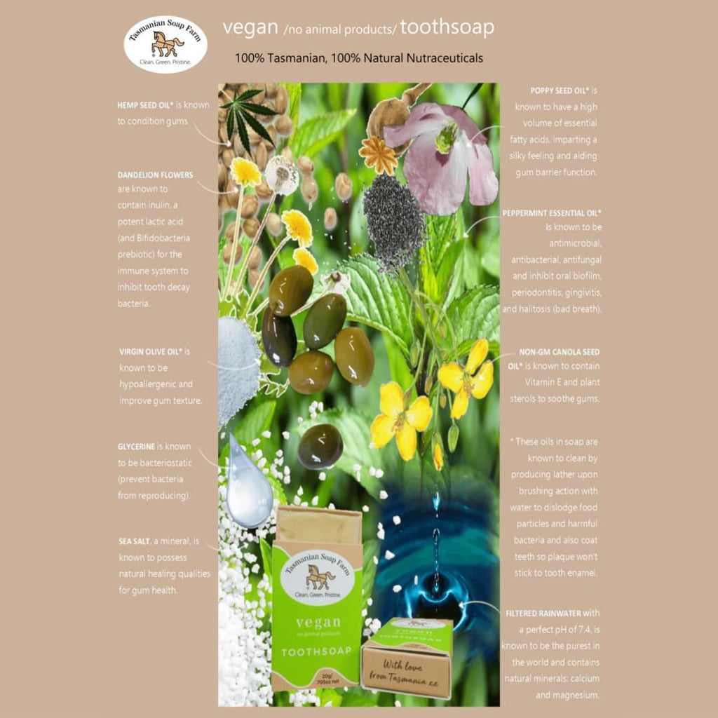 A botanical tooth soap poster from by Tasmanian Soap Farm featuring illustrations of natural ingredients like hemp seed oil, poppy seed oil, virgin olive oil, and peppermint essential oil, with a green and white packaged tray of tooth soap at the bottom.